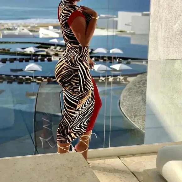 Zebra Striped Patchwork Bodycon Dress (Color: Red) - Picture 2 of 3